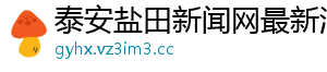 泰安盐田新闻网最新消息